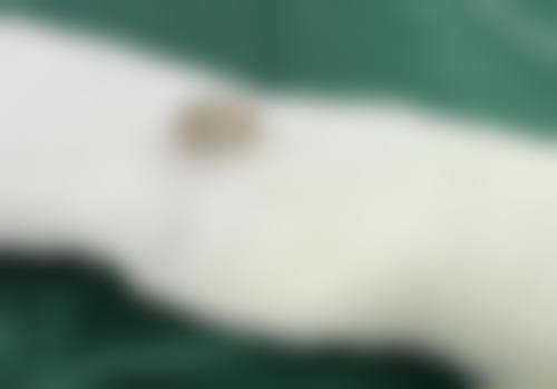 【昆明时光医学美容门诊部(原拉雅)怎么预约挂号?】