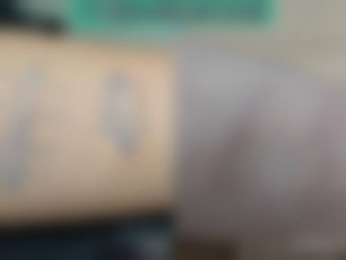 【哈尔滨第二医院整形科参考价格表：】