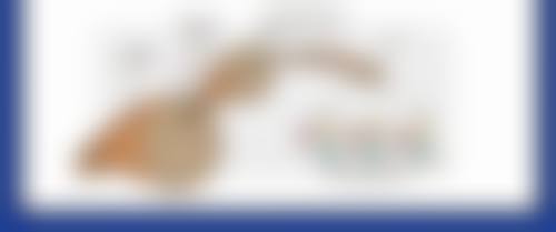 瘦脸针多少钱打一针