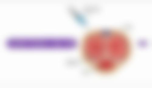 种植发际线成功几率高吗