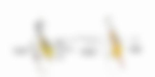 Murad慕拉得A醇晚霜