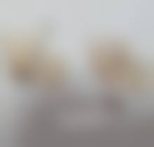 割包皮真的能延长射精时间吗？科学研究证实多数情况可行，为你揭秘背后原理与显著效果！ 