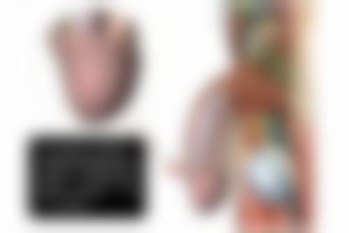 【哈尔滨骨伤科医院怎么预约挂号?】