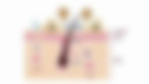 嘴凸可以整牙吗