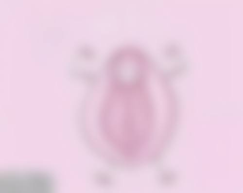 特殊人群的用药注意事项