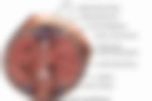 瘦脸针用做皮试吗？权威解析：不做皮试有何风险、做皮试有啥好处，助你科学选择医美！ 