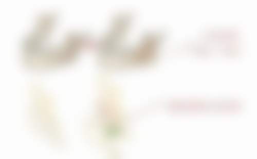 美容院除皱原理