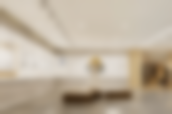 【何军 医生荣誉资质：】