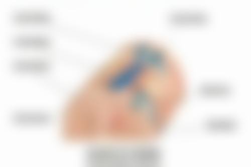 【韩国尤美医院参考价格表：】