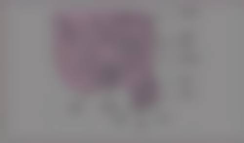 瘦脸针能打除皱吗？揭秘瘦脸针除皱的神奇效果，3大优势让你焕颜新生，抗衰不再是梦！ 