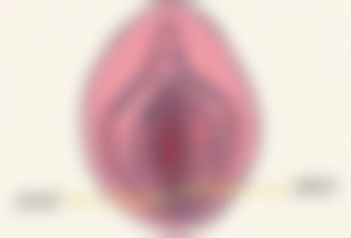 伊婉致美——深层滋养肌肤