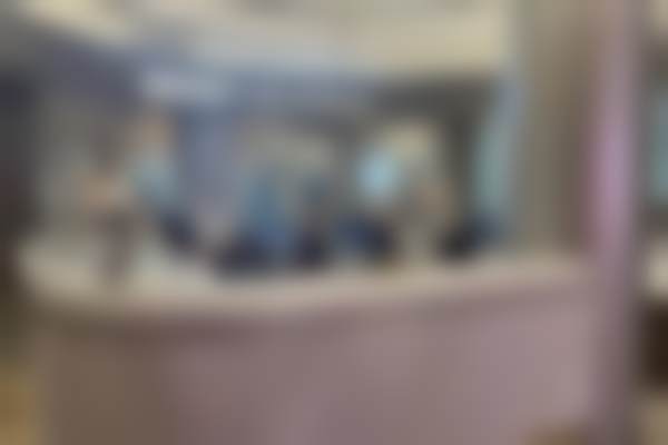 深圳米兰柏羽医疗美容医院罗荣华的学术与行业身份对他的医美工作有何意义？