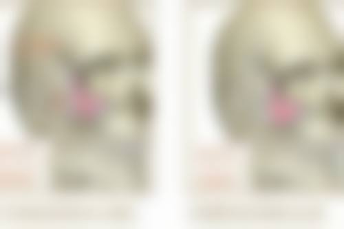 【珠海市慢性病防治站医生团队：】