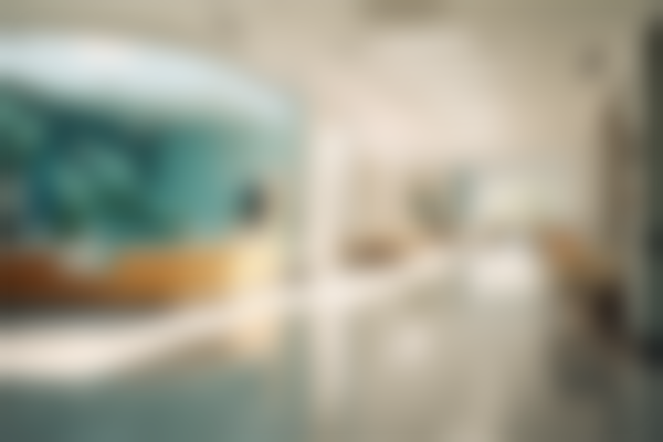 郑州大学第五附属医院整形美容科