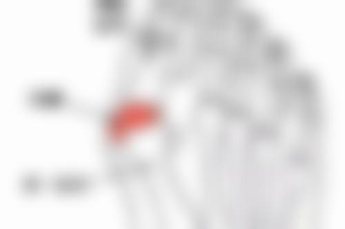 阴道紧缩手术后多久可以同房和怀孕