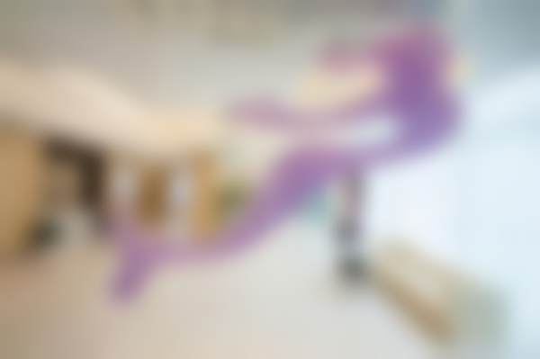 【柏睿医生荣誉资质】