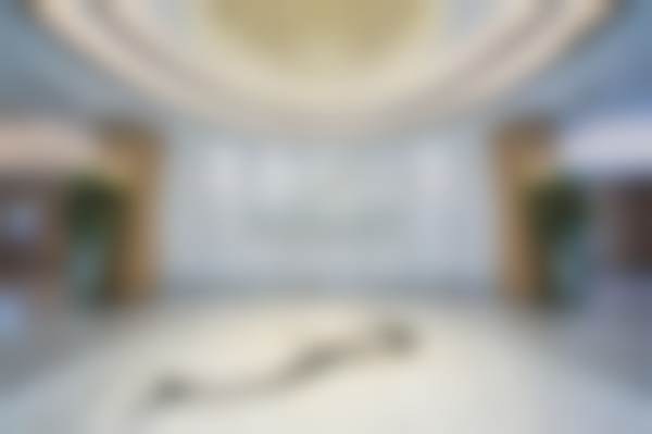 【顾陆健医生怎么预约挂号？】