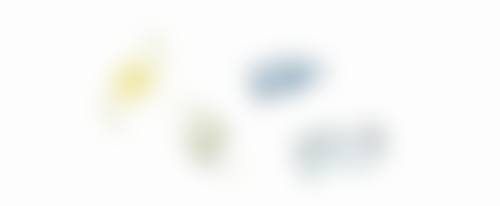 种植方法全过程视频