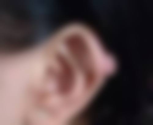 不同环境下的种植要点