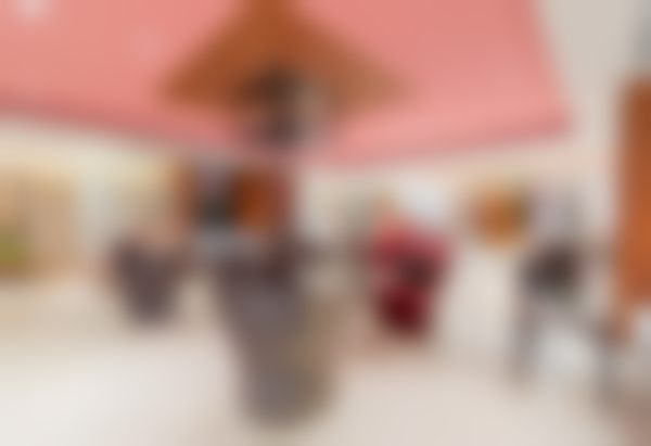 【张久赋医生技术特点:】