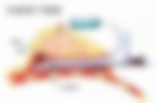 瘦脸针价格