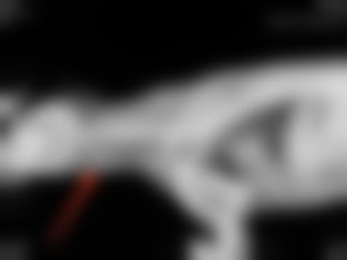 【湘南美容 八王子诊疗设备：】