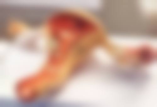 整牙改善嘴唇外翻和嘴凸的实例分析