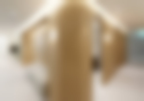 韩国the-clim妇科