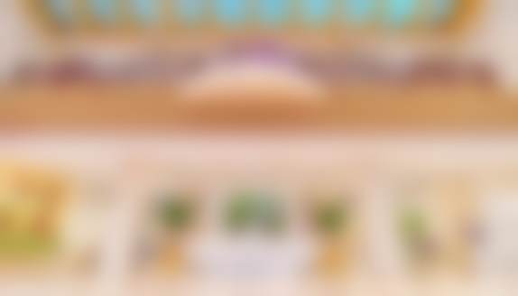 【朱晗医生荣誉资质】