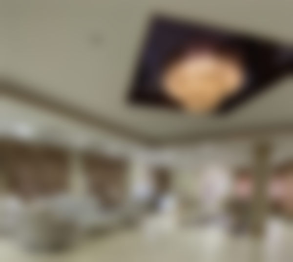 【蒋翔峰医生技术特点：】