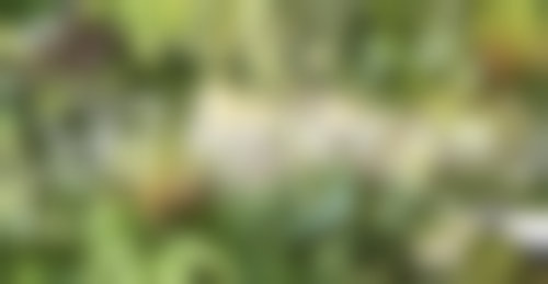 2026湖州恒颜美医疗美容门诊部邢学亮坐诊时段适合我吗
