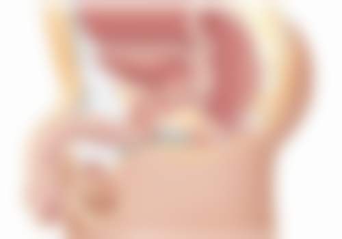 【张玲医生怎么预约挂号?】