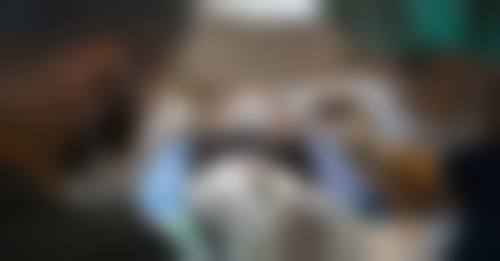 新疆乌鲁木齐紫星医疗美容整形的核心优势在于它以量身定制针对性及个性化的美丽组合服务为原则。每一位求美者都是独特的,医院会根据每个人的面部特征、身体状况、个人需求和审美观念,制定专属的整形方案。不像有些医院千篇一律地进行手术,这里更注重个体差异,力求让每一位求美者都能拥有更适合自己的美丽。而且,医院以广大求美者的满意度为评判标准,始终把求美者的感受放在前位,致力于成为爱美人士心中具有规模和影响力的“美丽梦工场”。