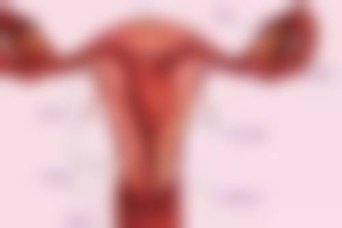 阴道紧缩的其他方法