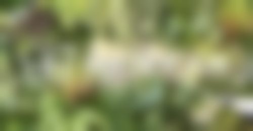 湖州恒颜美医疗美容门诊部的热门项目适合我吗?