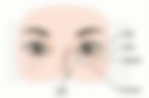 佛手瓜苗的种植和管理