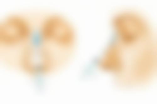 有必要打瘦脸针吗