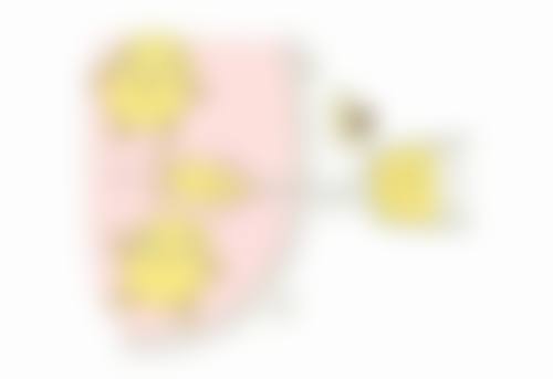 瘦脸针的价格和维持时间
