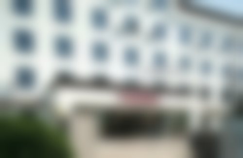 宋亚丽