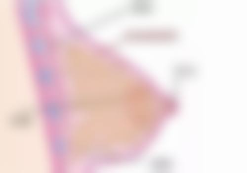微笑唇真的好看吗