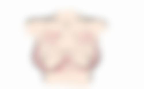 【樊帆医生荣誉资质】