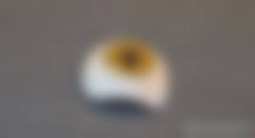 总结与预约指引