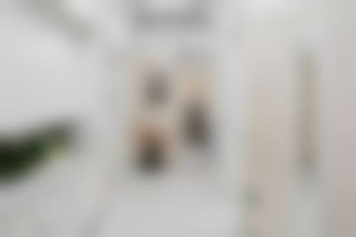 擅长项目详解