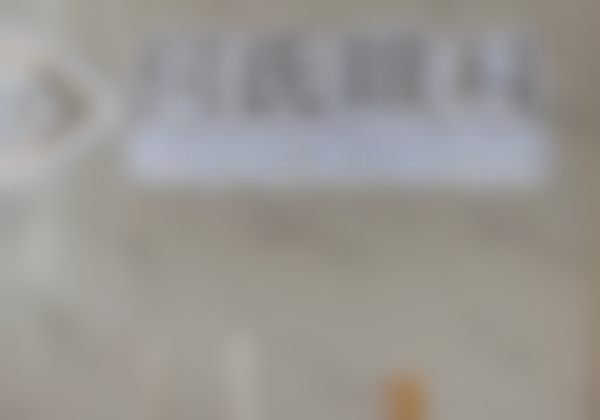 擅长项目详解