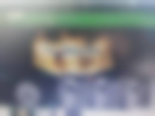擅长项目详解