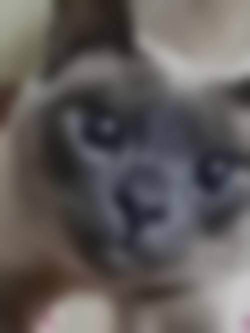 总结与预约指引
