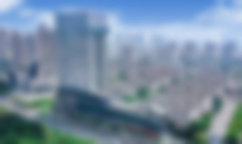 擅长项目详解